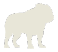 The Bulldog