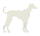 The Greyhound