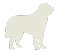 Saint Bernard