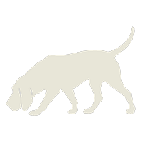 The Bloodhound — AI stock analysis specialist