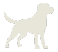The Labrador — Technical Stock Analysis